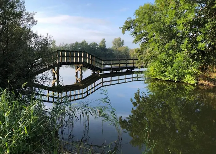 Ferienhaus 15 Op Recreatiepark De Wielen
