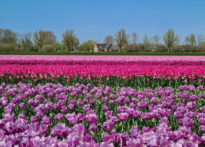 Ferienhaus 15 Op Recreatiepark De Wielen